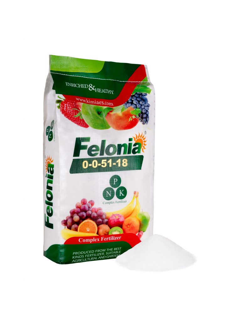 سولوپتاس سولوپتاس