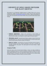 کود ماهی مایع