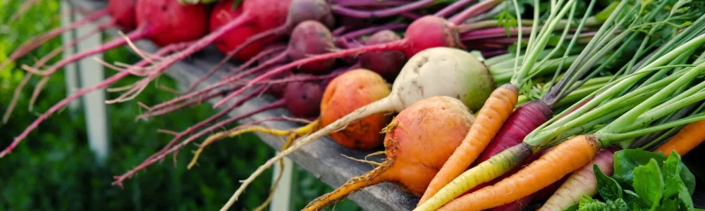 A close up shot of a small pile of freshly harvested crops all placed on a wooden table in a well lit area outdoors showcasing last minute fall planting