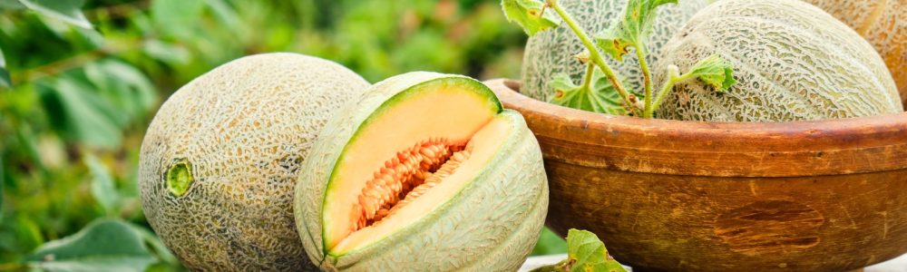 Sow melon seeds